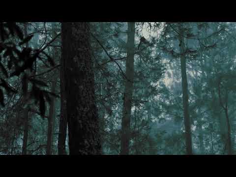 https://www.youtube.com/watch?v=m_3jniV9jYU