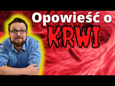 Krew! Skład krwi, funkcje krwi, wszystko o tej ciekawej tkance. Układ krążenia i budowa krwi