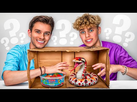 WHAT'S IN THE BOX CHALLENGE AGAINST DAVENITE