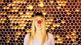 Zoo Carnival Aftermovie   11 noviembre 2012   Club Catwalk