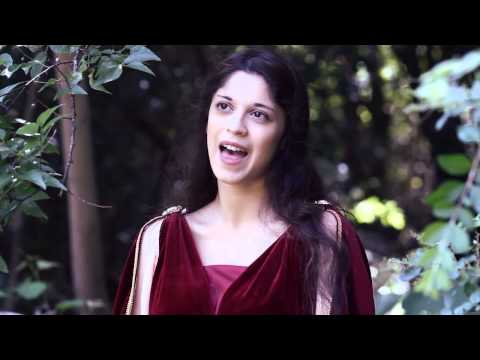 The Rains of Castamere   performed by Erutan