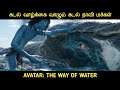 அவதார் 2 விளக்கம் By Movie Multiverse
