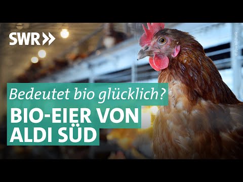 Bioeier von ALDI Süd: Die Mär von glücklichen Hühnern