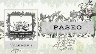Paseo Music Video