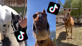 Miniature vidéo