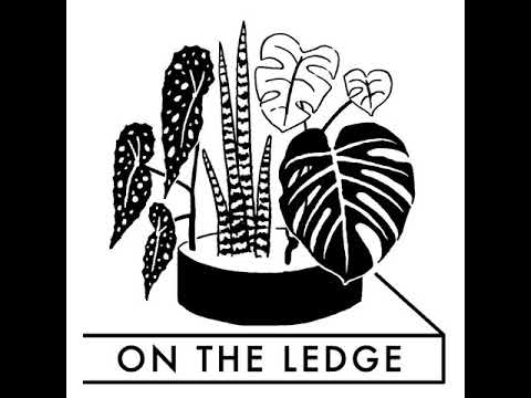 , title : 'On The Ledge Podcast Episode 101: The spider plant (aka Chlorophytum comosum)