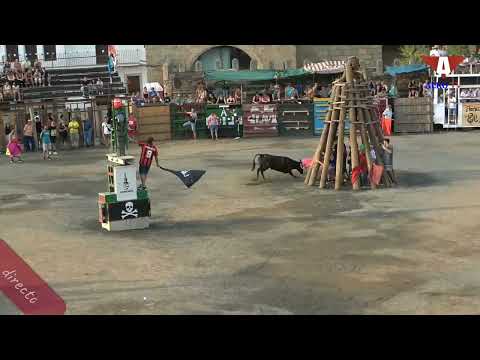 Festejos taurinos en directo - Dia de la tenca - en Garrovillas de Alconetar