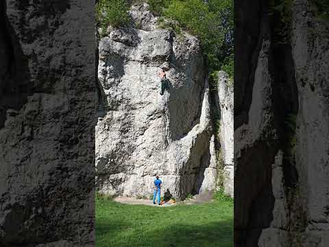 Prawy Meningitis VI.2+/3 Dupa Słonia