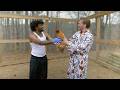 Matt Mathews Teaches Funny Marco Where Chickens Come From Farm Chores With Matt
