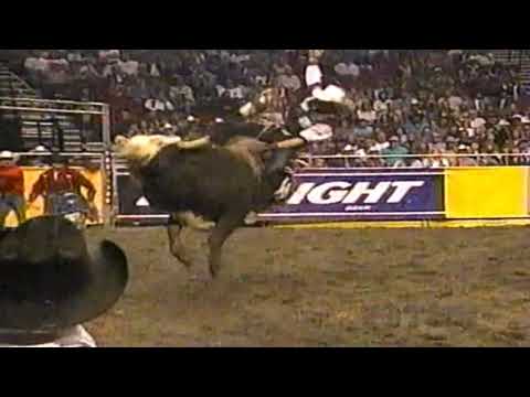 High Roller bucks Mark Cain - 97 PBR Portland