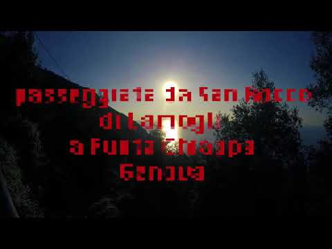 Passeggiata da San Rocco di Camogli a Punta Chiappa - Passeggiata di Zoagli