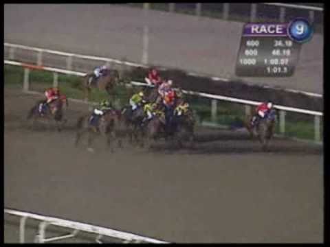 (新加坡) 「鄉村」為練馬師馬約翰榮休劃上完美句號 (28/1/2011)