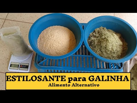 download lagu mp3 mp4 Estilosante, download lagu Estilosante gratis, unduh video klip Estilosante