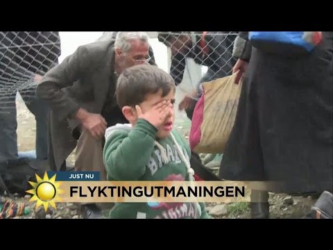 Flyktingutmaningen: "Vi har tagit emot en kvarts miljon människor" - Nyhetsmorgon (TV4)