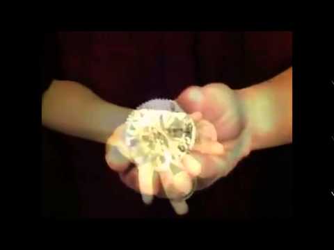 Saturn Magic -Max Grip Manipulation Wishing Coins (SILVER) by Alan Wong - Tricks