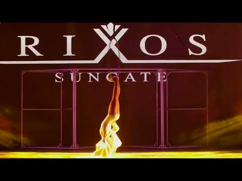 Aerial Hoop, Circus Ring performers from @Keep Balance Art Group   #shorts