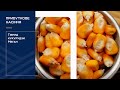 Семена кукурузы Meгaн