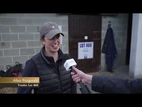Goffs Orby Sale 2022 -  Alice Fitzgerald