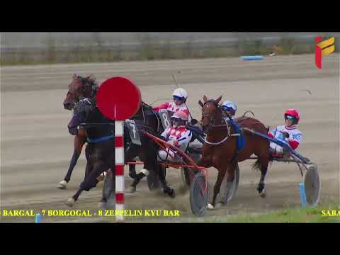 V Corsa del 30 Aprile 2022 - 5 Anni ed oltre - Metri 1600 - Gara Centrale