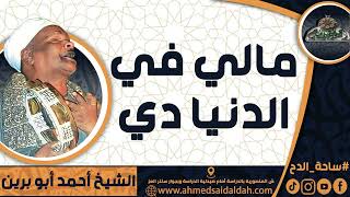 الشيخ – أحمد أبو برين(مالي في الدنيا دي)