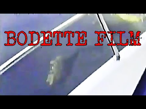 BODETTE FILM: Lost Media de la Criptozoologia