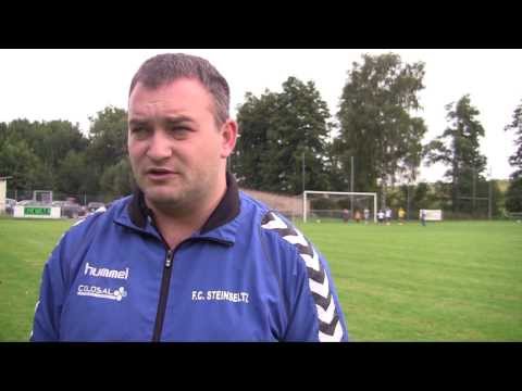 J3 DH 2013-2014 : Steinseltz - Geispolsheim