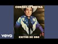 Cornelio Reyna - Me Caíste Del Cielo (Audio)