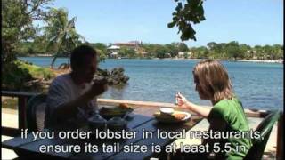 Roatan Marine Park video