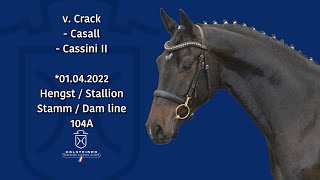 Video von Crack Wayne