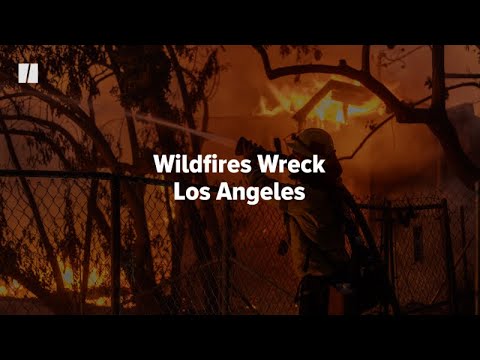 Wildfires Wreck Los Angeles