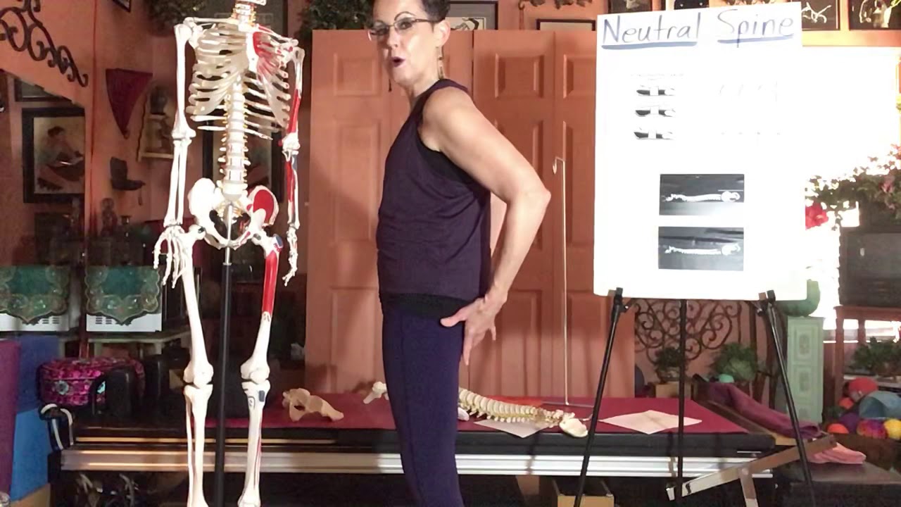 Pilates Anatomy Tutorial