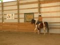 Bitless Whoa with Gentle Horse Trainer Missy Wryn ...