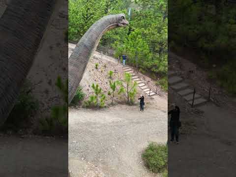 Gondava - El gran valle de los dinosaurios - Sáchica - Boyacá #disconnectbga #boyacá #gondava #dji
