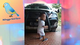 Download lagu Tledekan gunung ngeplong suara jernih mp3