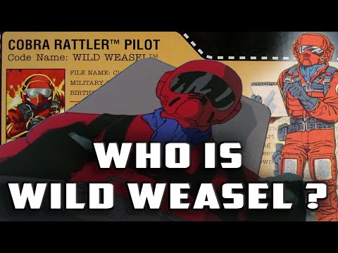 History and Origin of GI Joe's WILD WEASEL !