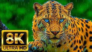 🔍 ULTRA DETAILED WILDLIFE 8K (60FPS) ULTRA HD – Nature in Perfect Clarity