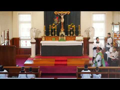 SSPXNZLIVE Livestream - 12 October 2019 High Mass( Eighteenth Sunday after Pentecost)