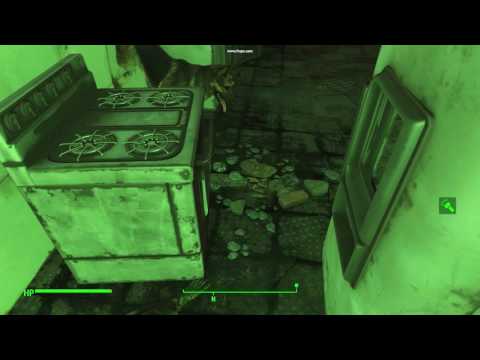 Infinite ammo glitch [Fallout 4] - PC