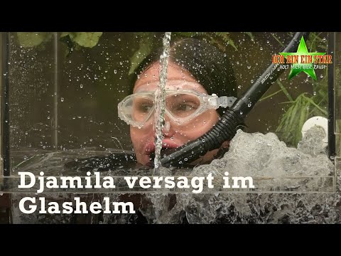 Dschungelprüfung „Korrekt“: Djamila wird im Glashelm geflutet | #17 | Dschungelcamp 2023