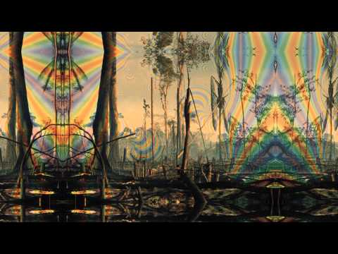 Gubbology ۞ Chaku Hachi