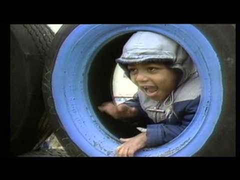 Pojmovnik politike - Multikulturalnost