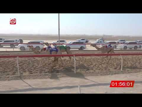  ش 24 (شاهين) لـ غالب راشد غالب المنصوري 3:03:02 , شارة الصندوق 2026/08/30 فطامين الوثبة 