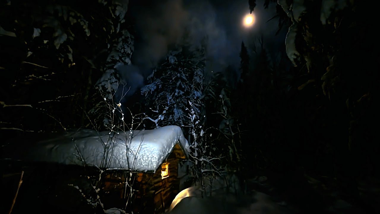 Ищу лося. Добыл мясо на ужин.