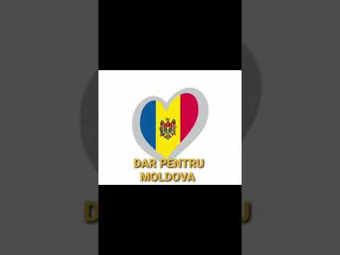 DAR PENTRU MOLDOVA 🇲🇩 ADY CARP