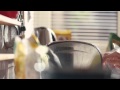 Sausages Vodafone Pay As You Go TV Ad 2014
