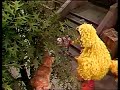 Classic Sesame Street Barkley Meets A Cat 1980