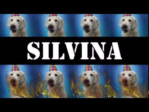 HAPPY BIRTHDAY KIM SILVINA