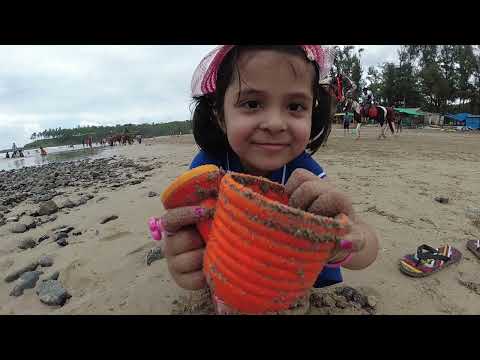 Kids Beach | Kid On Beach With American Flag | Kid On Beach Dog #beachlife #kavisha