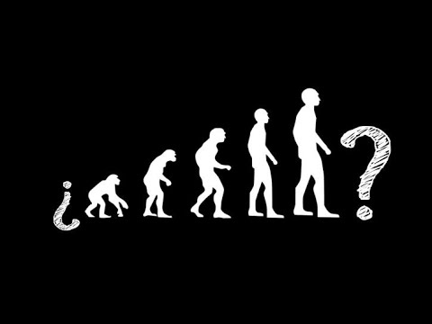 Especial TLV1 N°05 - Un análisis científico del evolucionismo - Pte 05