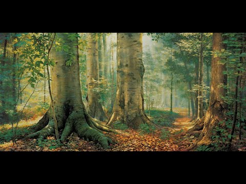 Que Manhã Maravilhosa Hinos nº12